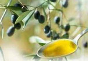 Olio d’oliva: produzione in calo del 12% 