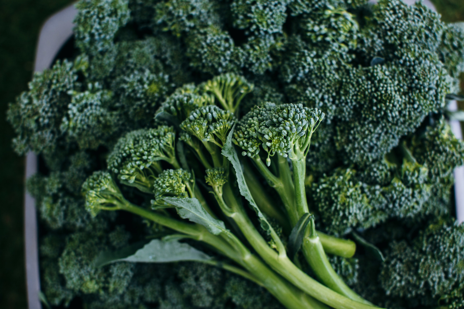 Il broccolo Bimi si presenta a Marca Fresh