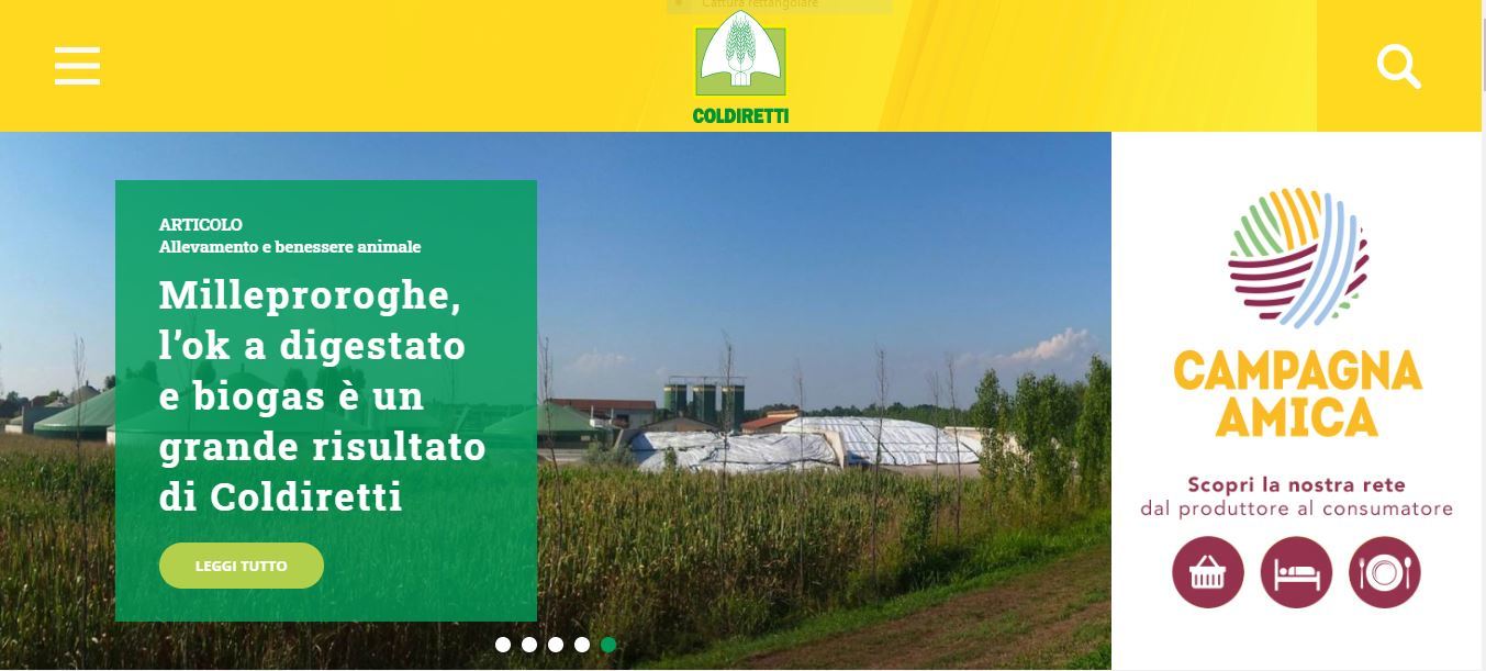 Coldiretti: l'export di Parmigiano negli Usa si è dimezzato 