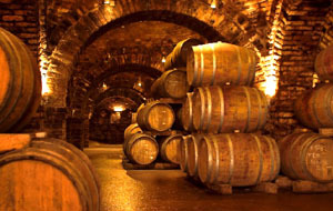 Coldiretti: la produzione di vino tocca i minimi storici