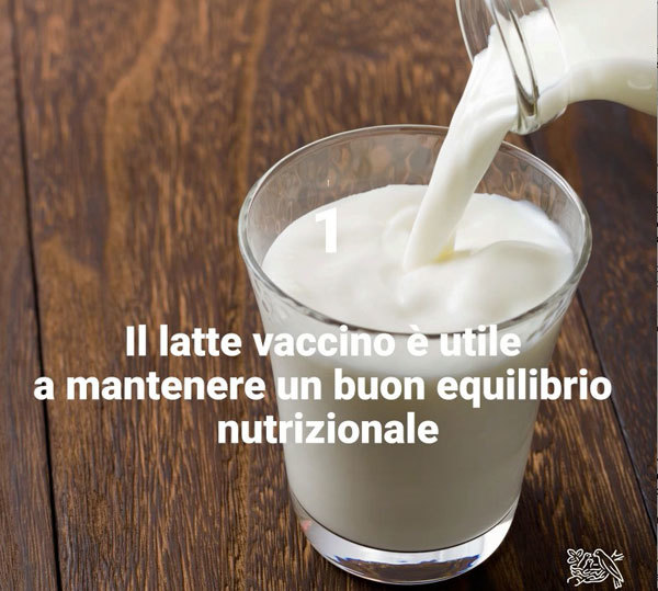 Nestlé: necessario sfatare i falsi miti sul latte