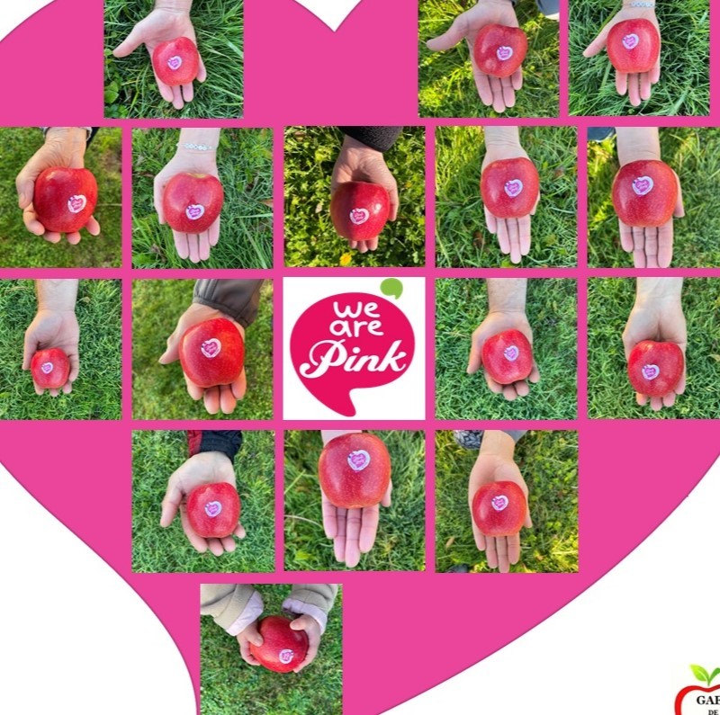 ​Pink Lady: un kit per ogni magazzino 