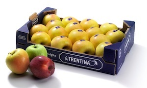 Il consorzio la Trentina parteciperà a Fruit Logistica 2014