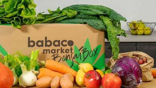 ​Osservatorio 2023 Babaco Market e Bva-Doxa: cresce l’attenzione verso la sostenibilità della spesa alimentare 