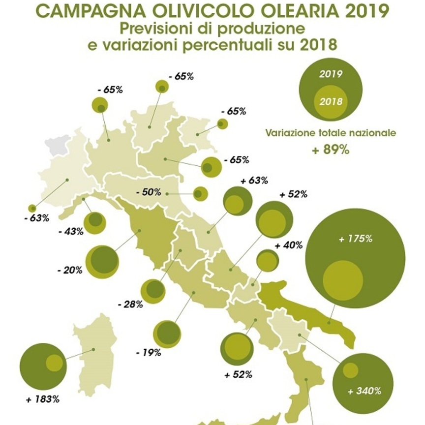 Campagna olearia 2019/2020: produzione olio evo a +89%