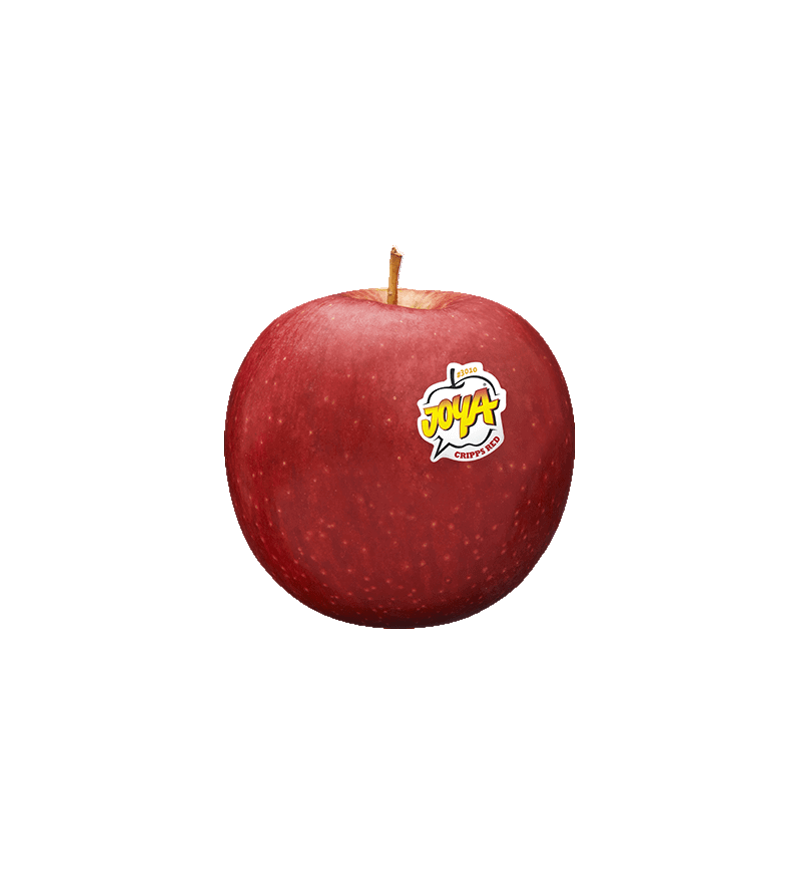 ​Il lancio della mela Joya porta una ventata di allegria nei mercati ortofrutticoli