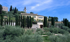 GIV rafforza la sua leadership nel settore vinicolo italiano