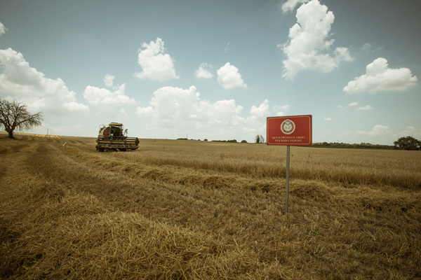 Birra Peroni si impegna per l'agricoltura sostenibile