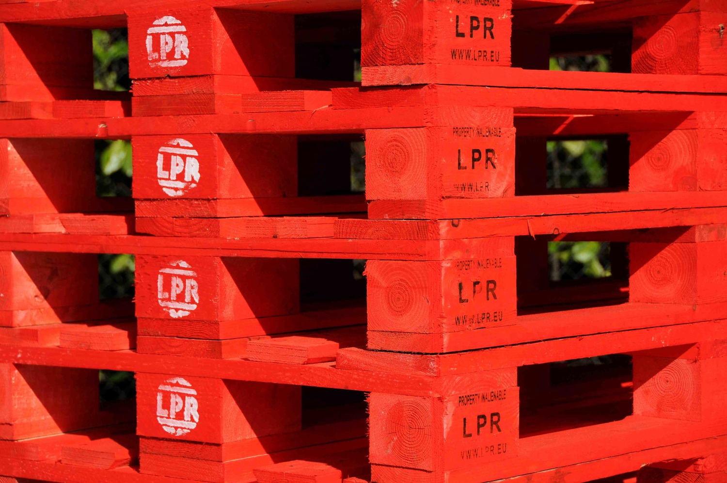 ​OrtoRomi ha scelto LPR – La Palette Rouge