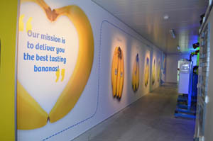 Chiquita elimina le emissioni di Co2 nell’impianto olandese