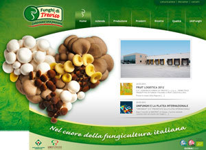 Il Consorzio Funghi di Treviso sbarca sul web