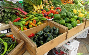 Inflazione: balzo verdure a +8,6% per neve e gelo 
