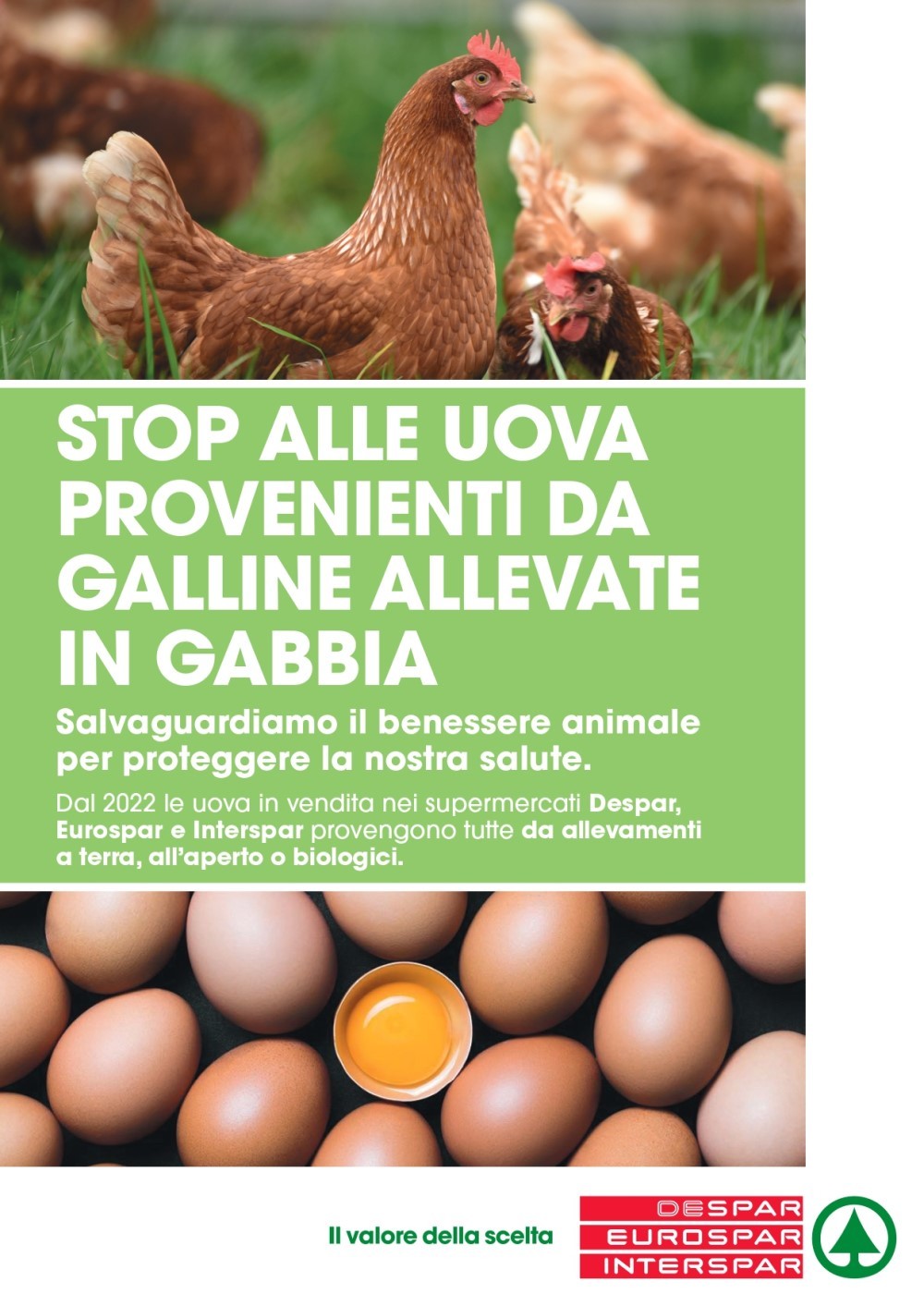  Despar Centro-Sud, stop alla vendita di uova di gallina allevate in gabbia