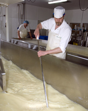 Quali certezze per il settore lattiero caseario dopo le quote latte?
