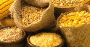 Ismea: aprile riporta al ribasso i prezzi dei cereali
