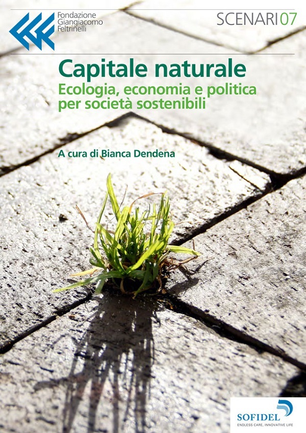Sofidel propone l’e-book “Capitale naturale: ecologia, economia e politica per società sostenibili”