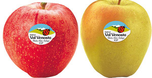 Nuovo piano di comunicazione per mela Val Venosta