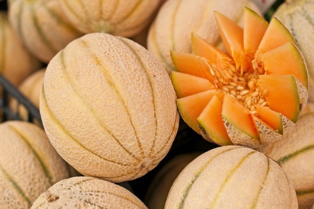 Meloni: l'export nel 2014 supera le 30 mila tonnellate