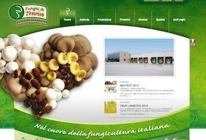 Consorzio Funghi Treviso conferma la sua presenza a Macfrut 2013