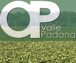 Valle Padana: un business interamente dedicato alla IV Gamma