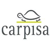 La formula del successo di Carpisa 