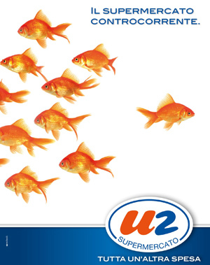 U2 nuota controcorrente