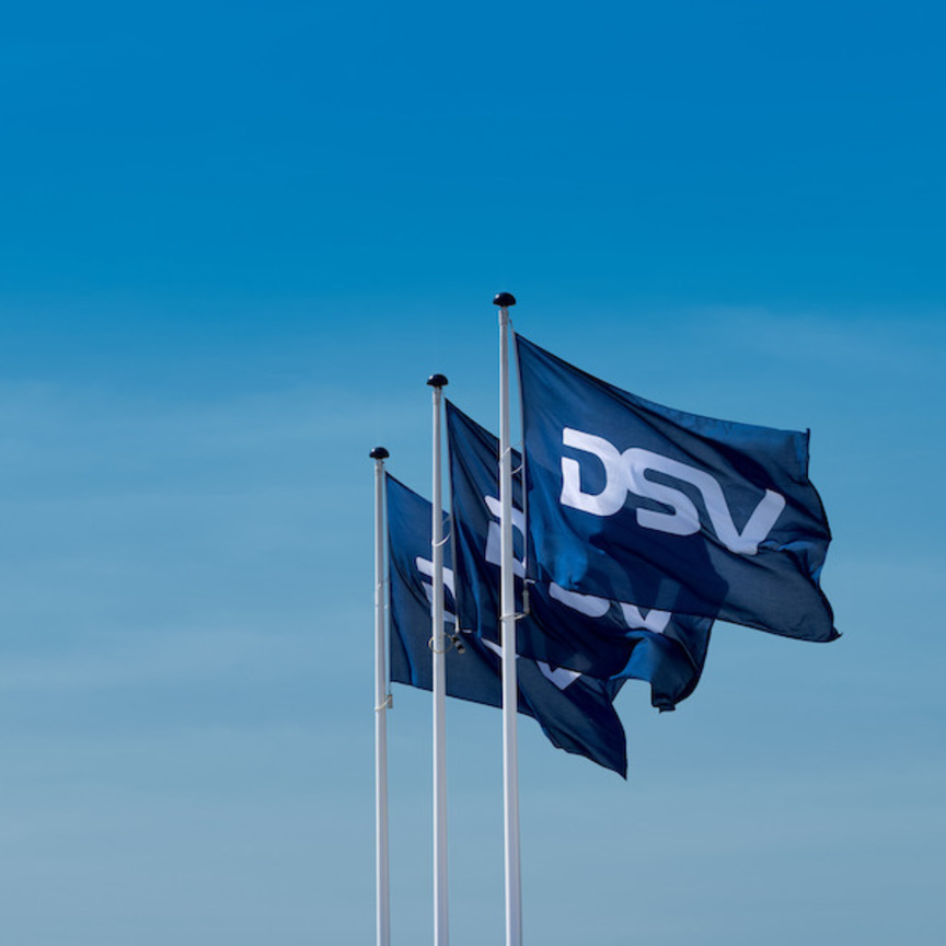 Dsv ottiene il Marchio Energia Rinnovabile di Enel