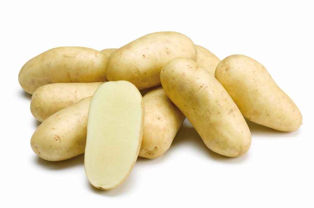 ​Patate: Romagnoli e Ibe-Cnr insieme per la caratterizzazione sensoriale delle varietà