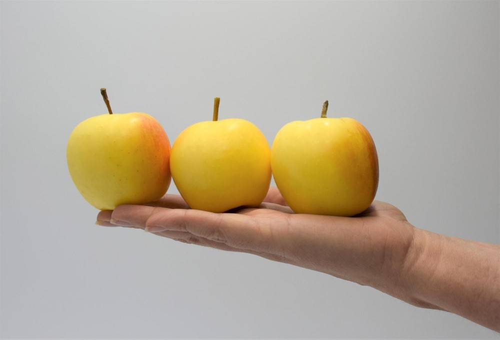 ​Nasce Snacking Project, nuova società consortile per sviluppare il mercato delle mele di piccolo calibro