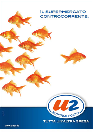 U2 nuota contro corrente