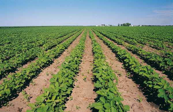 Le cooperative agroalimentari chiudono il 2014 in crescita