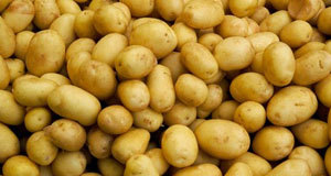 Il Belgio è diventato il primo produttore di referenze a base di patate 