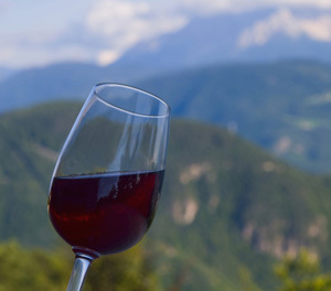 Crescita record per il vino in Canada