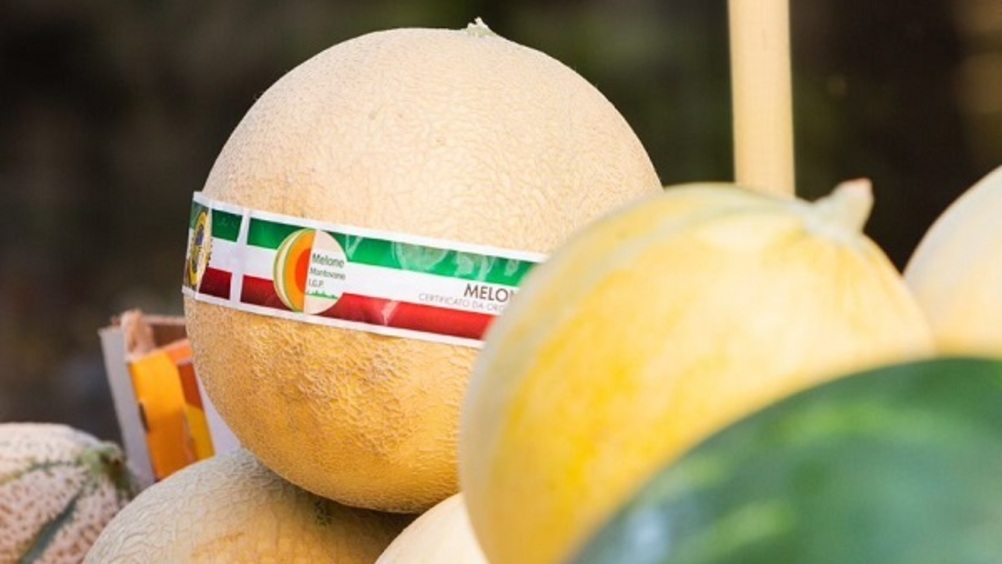Melone Mantovano Igp: qualità ottima, ma volumi in diminuzione