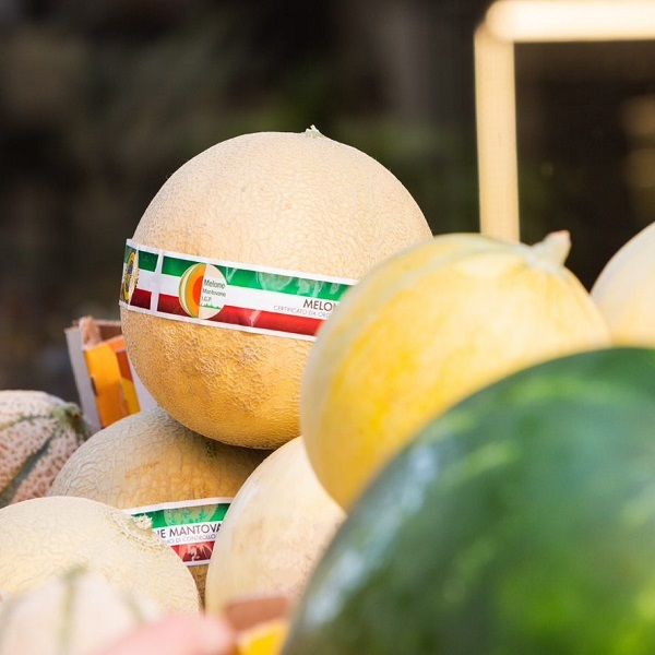 Melone Mantovano Igp: qualità ottima, ma volumi in diminuzione
