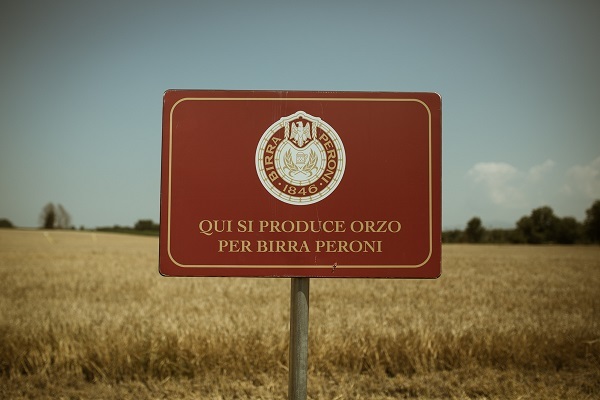 Birra Peroni, al via la tracciabilità in blockchain del malto 100% italiano