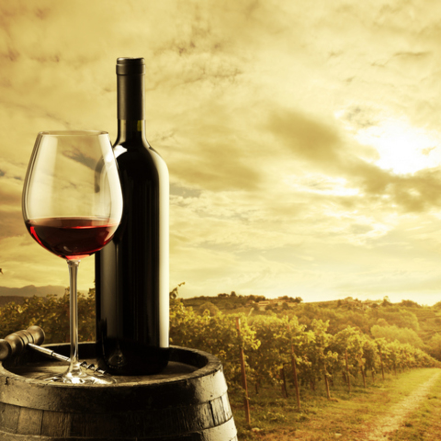Terre Cevico acquista Orion Wines, specialista dei vini del Sud