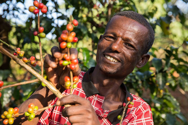 Fairtrade: vendite globali a 7,8 mld di euro