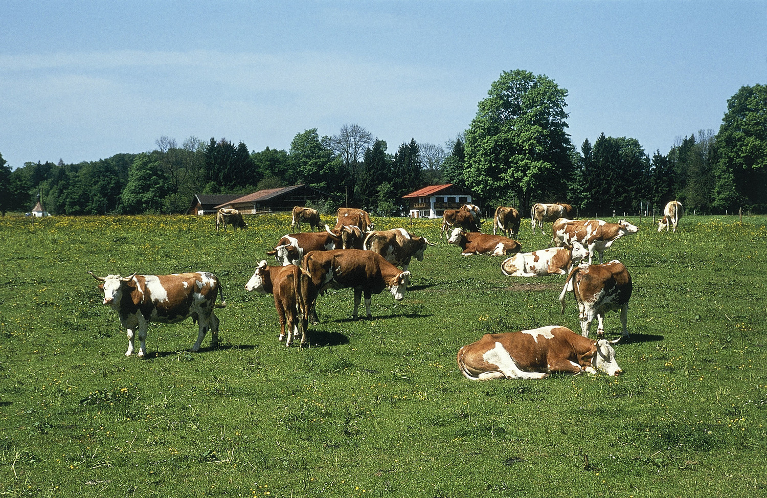 Prodotti lattiero caseari della Baviera: tanta innovazione e un grande controllo