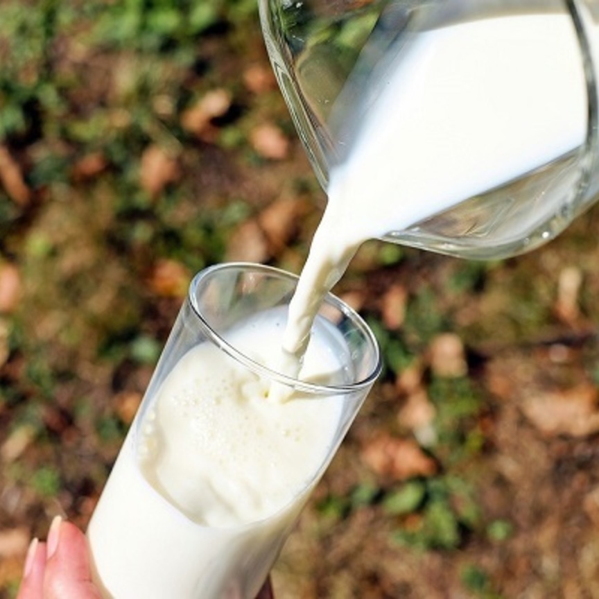 Export: è boom di latte italiano verso Oriente