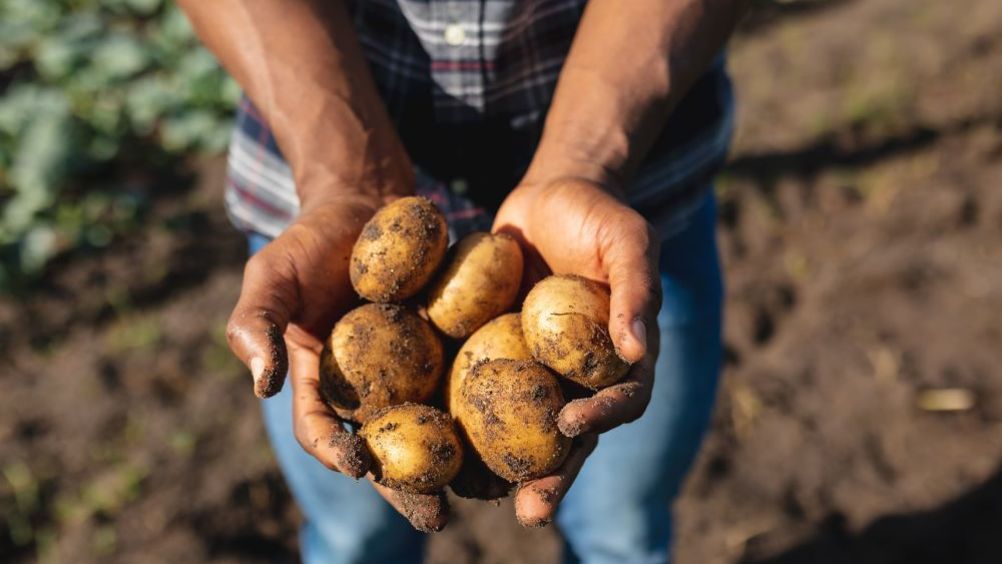 ​La tutela della natura al centro della campagna Ue Potatoes Forever!   