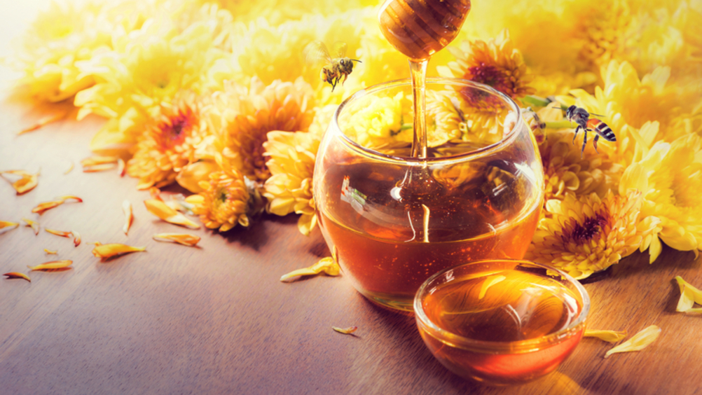 Idea agro investe sul miele con Apicoltura Vangelisti