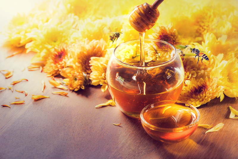 Idea agro investe sul miele con Apicoltura Vangelisti