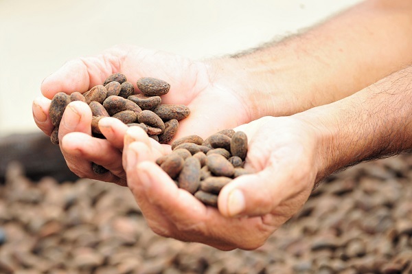  Il cacao del cioccolato Ritter Sport è ora tracciabile al 100%