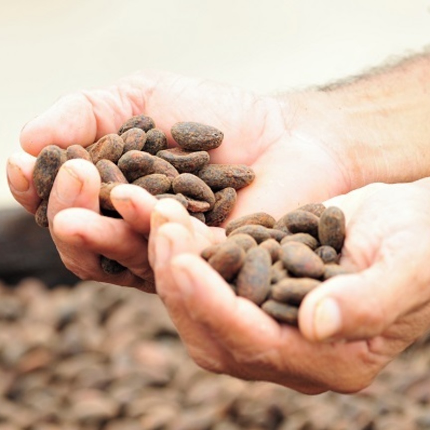  Il cacao del cioccolato Ritter Sport è ora tracciabile al 100%