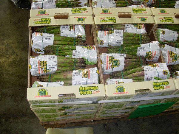 Asparago Verde di Altedo Igp: crescono i consumi
