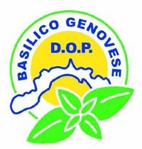 Basilico Genovese Dop
