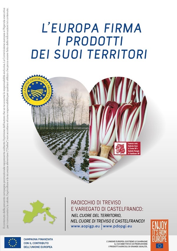 Radicchio di Treviso IGP e variegato di Castelfranco IGP protagonisti della campagna UE 