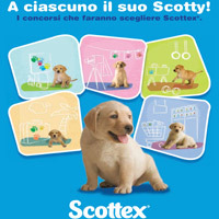 Scottex  Distribuzione Moderna