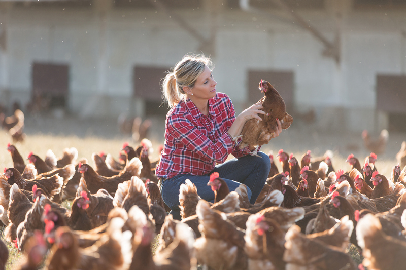 Unaitalia: a rischio l'autosufficienza dell'avicoltura nazionale